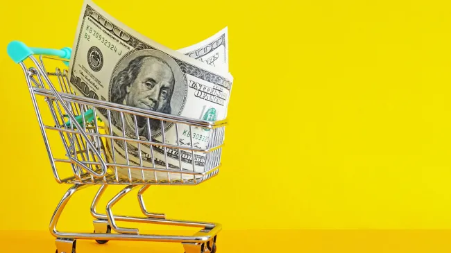 shopping cart with cash